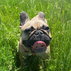 Meet your Posher, Mary